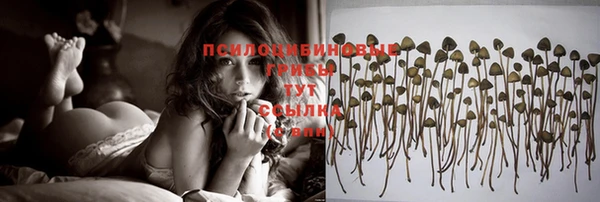 тгк Нея
