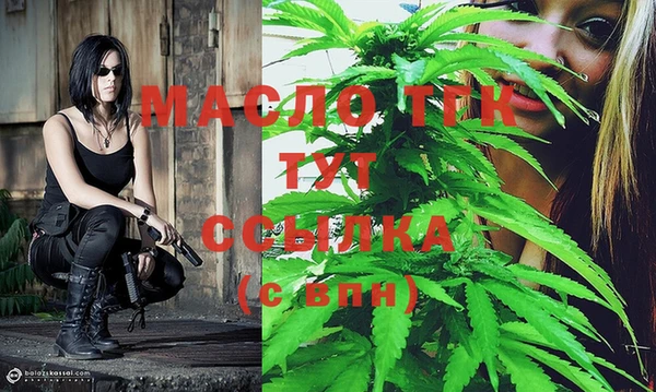 тгк Нея