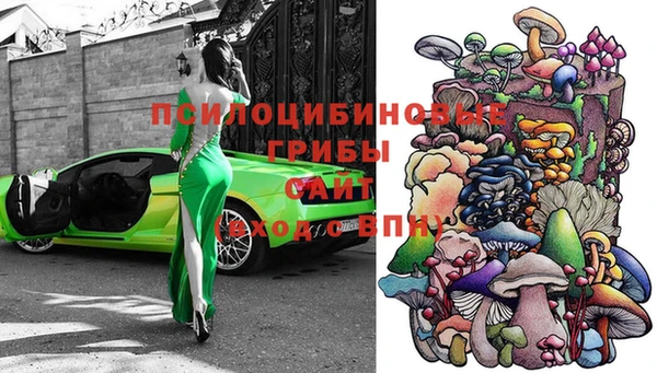 тгк Нея