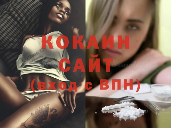 тгк Нея