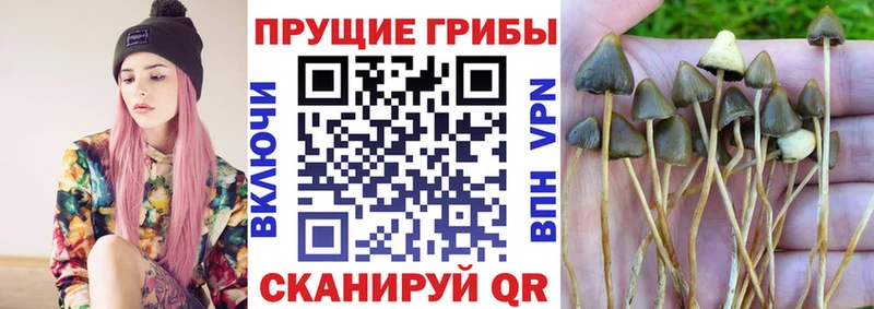Псилоцибиновые грибы прущие грибы купить Усмань
